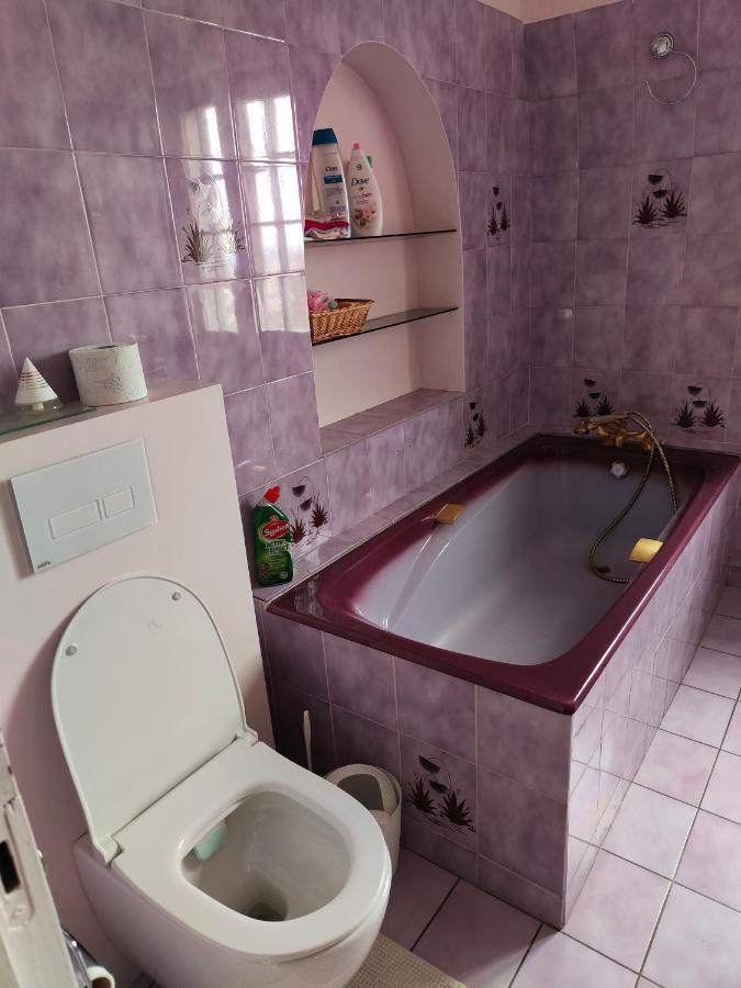 Chambre grise dans une demeure du 16ème à Saumur comprenant cuisine équipée Exterior foto